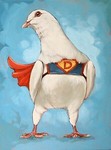 super_pigeon