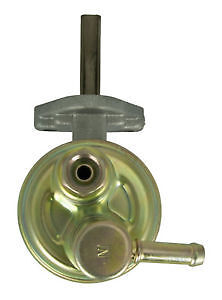 38paleco パレコ 38paleco（38パレ子）【ベーシック】 | 38explore