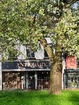 apple-tree-antiques