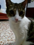 mercgarca_31