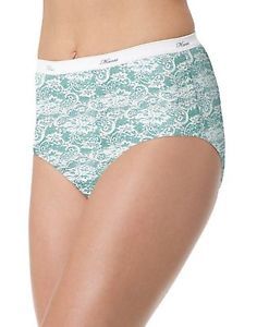 Hanes Women's Briefs