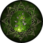 thewanderingleaf