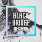 blackbridgebr 的用户个人档案