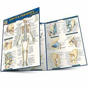 Joints & Ligaments Advanced (Quick Study - Cards, by BarCharts Inc. - Very Good
