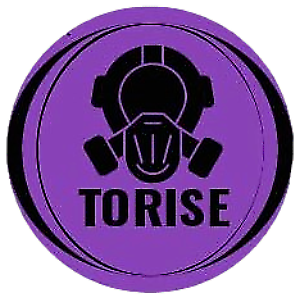 TORISE CUSTOM