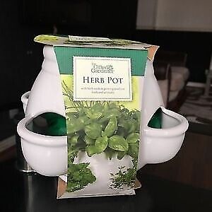 The Gifted Gardener Herb Pot In Leytonstone London Gumtree