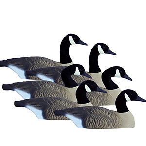 used canada goose for sale ottawa used canada goose for sale ottawa