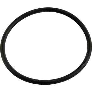 PENTAIR 355330 CHALLENGER STRAINER POT FLANGE O-RING
