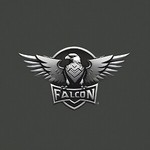 falconpowertech 的用户个人档案