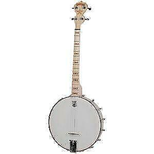 Gibson Granada Banjo Serial Numbers