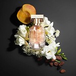 lux.parfum.shop