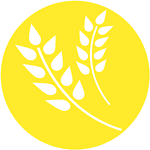 krupigrains 的用户个人档案