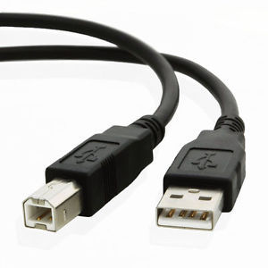USB Type B Male Cables
