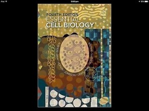 Medical Terminology Made Easy Fourth Edition Essential Cell