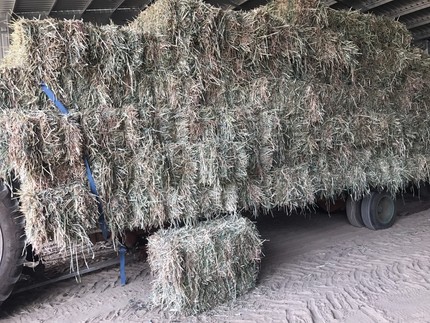 Jobs hervey bay gumtree