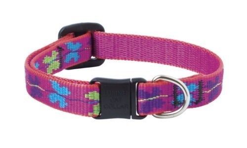 Lupine Cat Collars and Tags