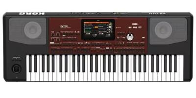 KORG PA700 Professional Arranger Keyboard 61 key genuine product Brand New