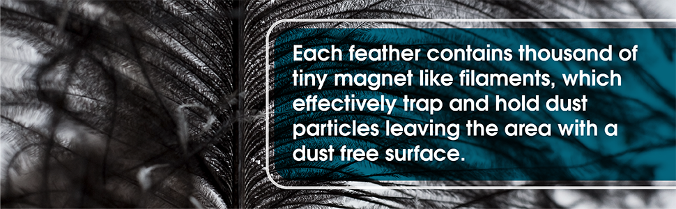 Retractable Ostrich Feather Duster 12" to 16"