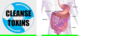 Energybolizer Perfect Weight Herbal Slimming Tea, Colon cleanse, All Flavors
