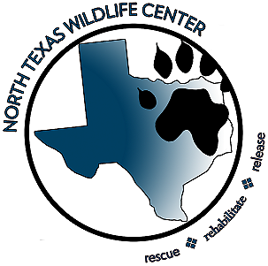 North Texas Wildlife Center