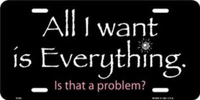 All I Want Is Everything License Plate - SAX338