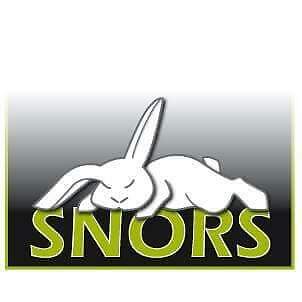 Special Needs Older Rabbits Sanctuary