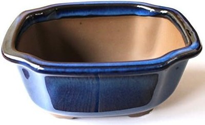Umekichi Supplies Store Bonsai Pot No. 5.5 Mokko  No. 5 approx. 16.5 cm Japan