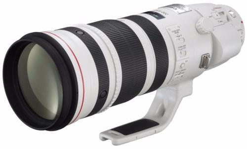 Amazon.com : Canon EF 2.0X III Telephoto Extender for Canon