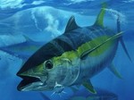 04-tuna