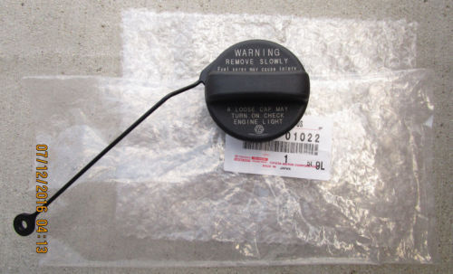 かっかっか DSC08207.jpg?v=1733280684