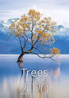 Trees Calendar - Calendars 2019 - 2020 Calendar - N... | Buch | Zustand sehr gut