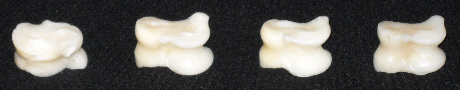 Four (4) ancient dice (talus, tali, astragalus, astragaloi, osselets)