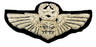 Wing USAF MASTER NAVIGATOR.jpg