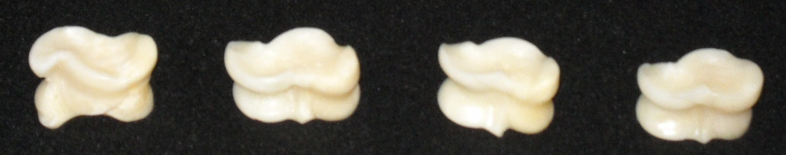 Four (4) ancient dice (talus, tali, astragalus, astragaloi, osselets)