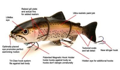 Castaic Rock Hard Swimbait 4'' Fishing Lure
