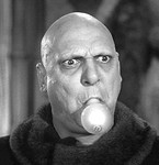 edifester