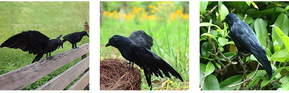 5Pack Halloween Crow Decorations Handmade Realistic Black Feathered Lifesize Fly