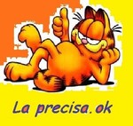 laprecisa.ok