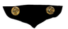 US ARMY AF Surgeon Wing Back.png