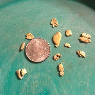 Gold PayDirt 1/4lbs 100% Unsearched Gold Panning Concentrates 1/8G GOLD  ADDED