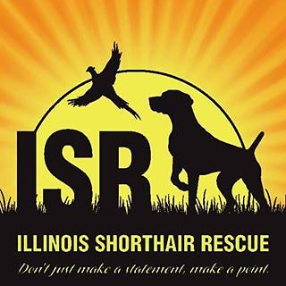 Illinois Shorthair Rescue