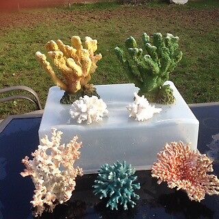 Artificial Coral Aquarium Decoration Ornaments In Monmouth