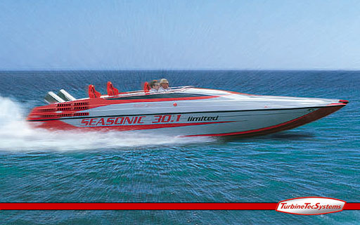 The SeaSonic 30.1 fromTURBINETECSYSTEMS assembled by turbine expert Ted McIntyre