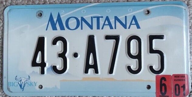 2001 Montana License Plate 43-A795 - Big Sky
