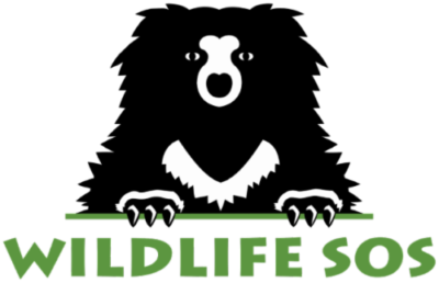 Wildlife SOS
