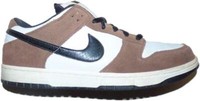 Nike Dunk Pro SB Low Trail