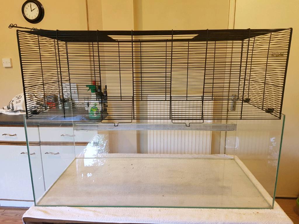 Large pet cage/gerbilarium in Bournville, West Midlands Gumtree
