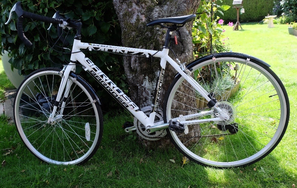 Gents Road Bike with 19 inch frame Barrosa Monza in