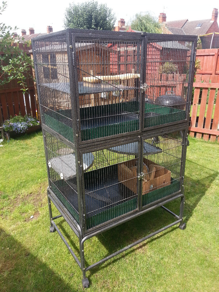 LARGE 2 STOREY RODENT CAGE in Burton Latimer, Northamptonshire Gumtree