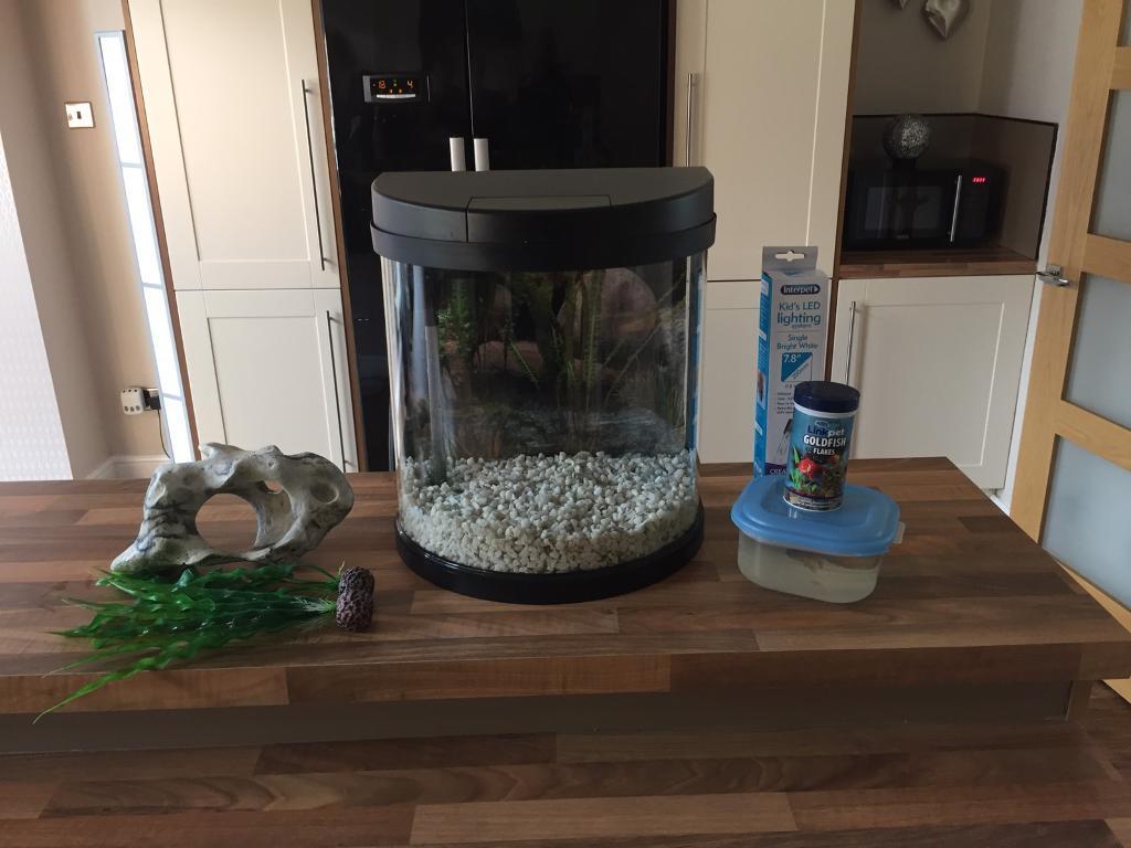 Oval fish tank in Washington, Tyne and Wear Gumtree